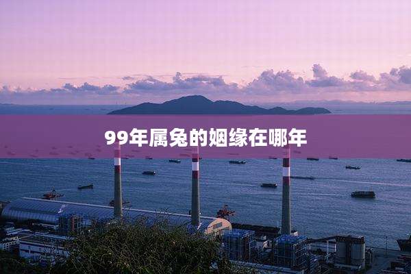 99年属兔的姻缘在哪年