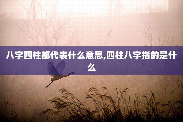 八字四柱都代表什么意思,四柱八字指的是什么