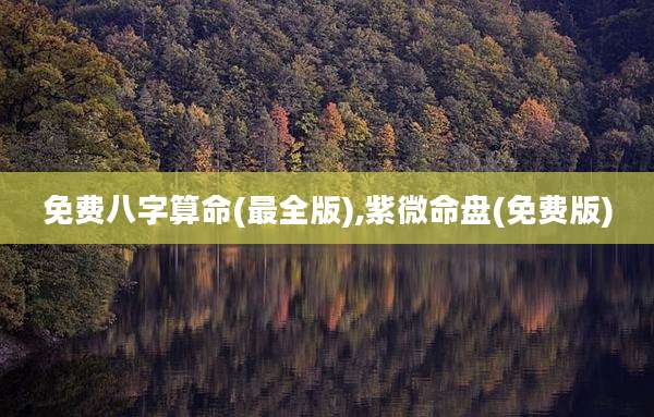 免费八字算命(最全版),紫微命盘(免费版)