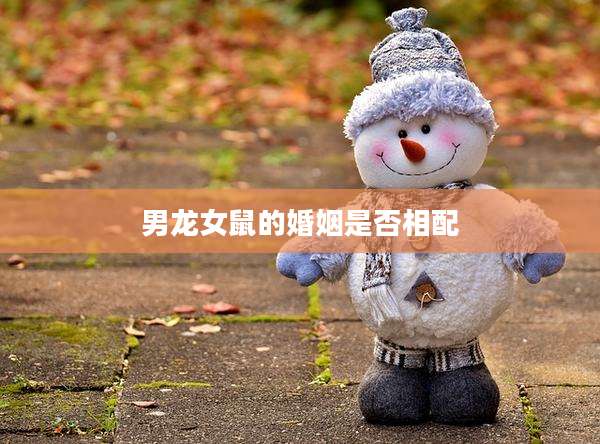 男龙女鼠的婚姻是否相配