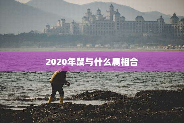 2020年鼠与什么属相合