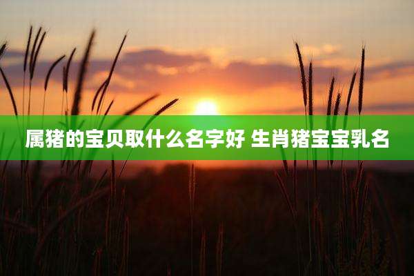 属猪的宝贝取什么名字好 生肖猪宝宝乳名