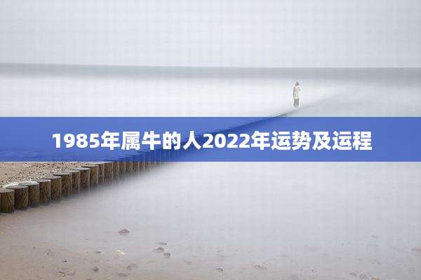 1985年属牛的人2022年运势及运程