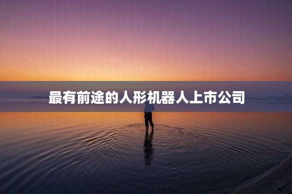 最有前途的人形机器人上市公司
