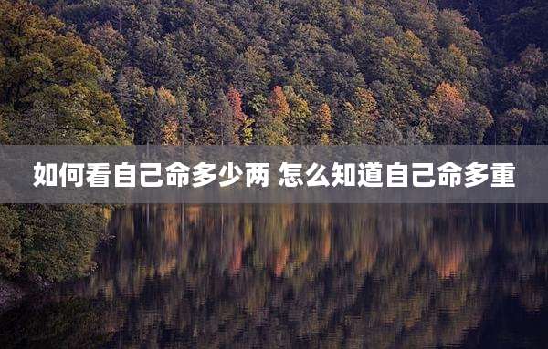 如何看自己命多少两 怎么知道自己命多重