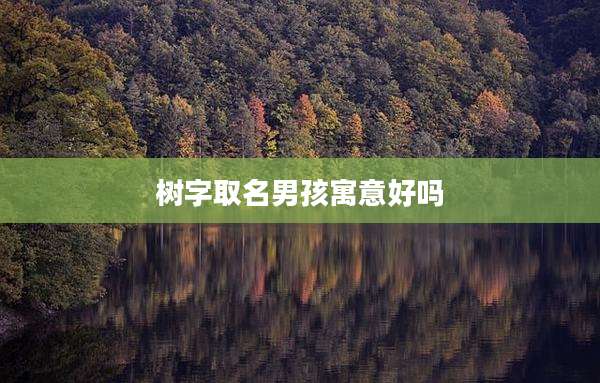 树字取名男孩寓意好吗