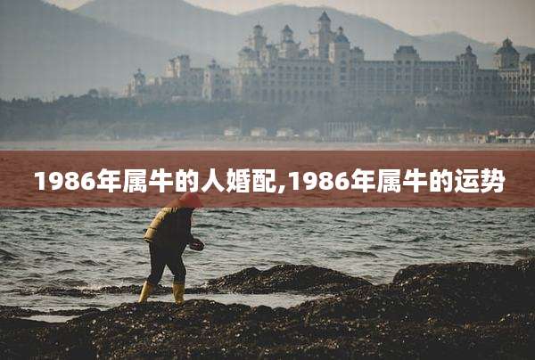 1986年属牛的人婚配,1986年属牛的运势