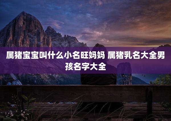 属猪宝宝叫什么小名旺妈妈 属猪乳名大全男孩名字大全