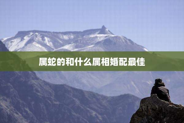 属蛇的和什么属相婚配最佳