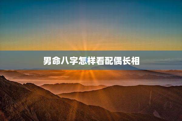 男命八字怎样看配偶长相