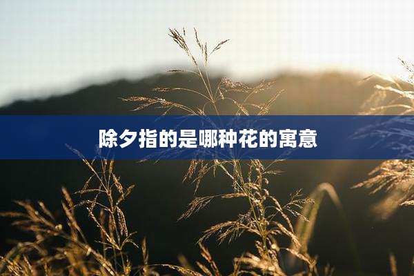 除夕指的是哪种花的寓意