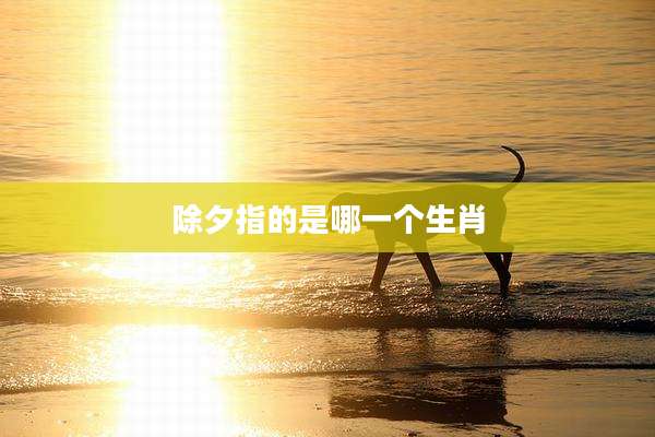 除夕指的是哪一个生肖