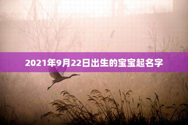 2021年9月22日出生的宝宝起名字