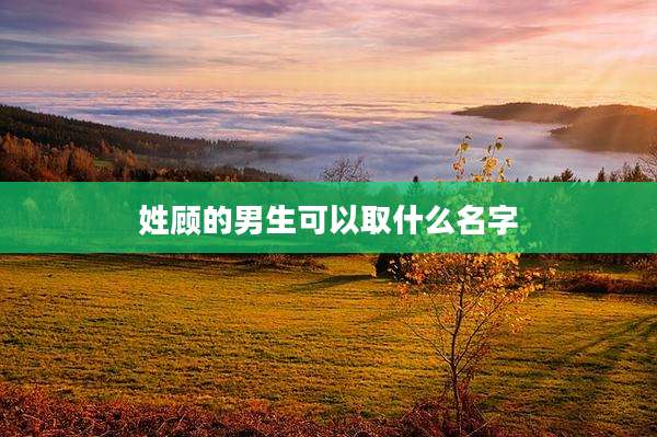 姓顾的男生可以取什么名字