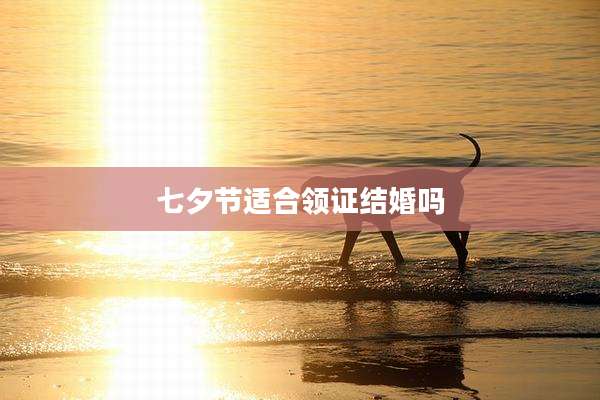 七夕节适合领证结婚吗
