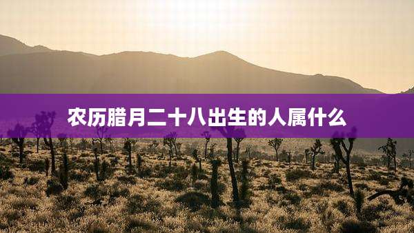 农历腊月二十八出生的人属什么