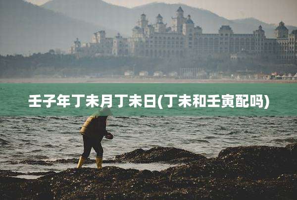 壬子年丁未月丁未日(丁未和壬寅配吗)