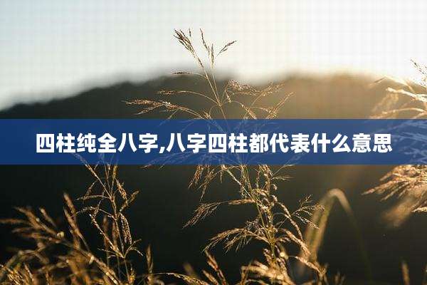 四柱纯全八字,八字四柱都代表什么意思