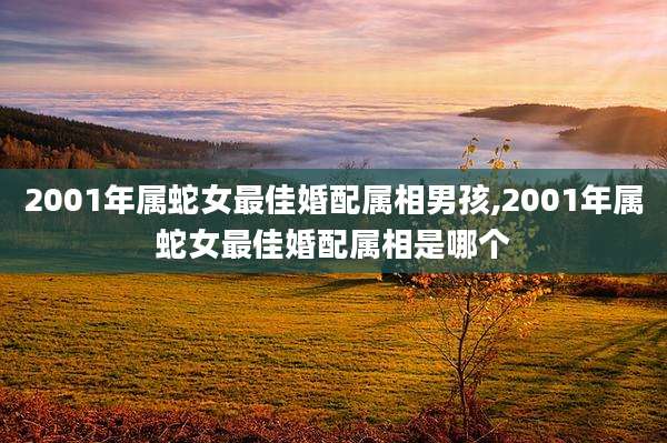 2001年属蛇女最佳婚配属相男孩,2001年属蛇女最佳婚配属相是哪个