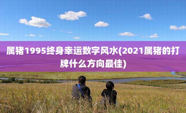 属猪1995终身幸运数字风水(2021属猪的打牌什么方向最佳)