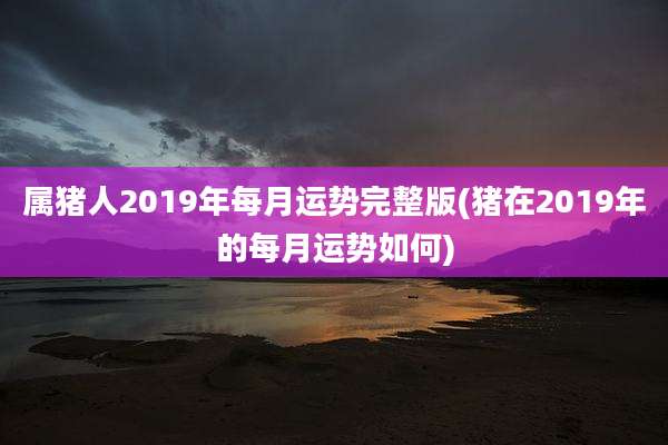 属猪人2019年每月运势完整版(猪在2019年的每月运势如何)