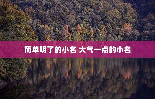 简单明了的小名 大气一点的小名