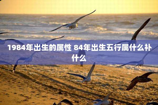 1984年出生的属性 84年出生五行属什么补什么