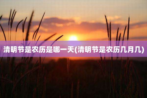 清明节是农历是哪一天(清明节是农历几月几)
