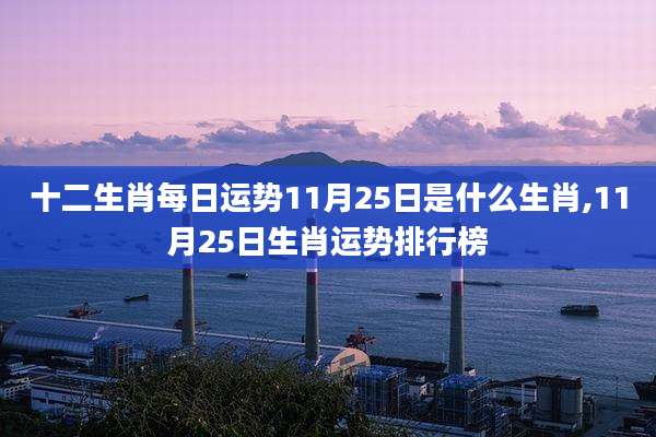 十二生肖每日运势11月25日是什么生肖,11月25日生肖运势排行榜