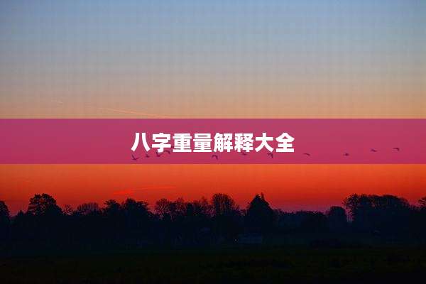 八字重量解释大全