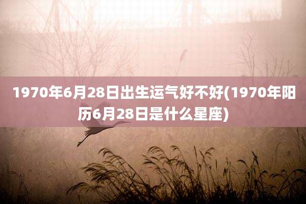 1970年6月28日出生运气好不好(1970年阳历6月28日是什么星座)