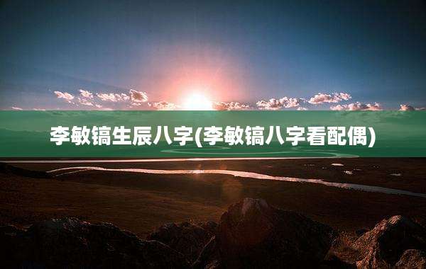 李敏镐生辰八字(李敏镐八字看配偶)