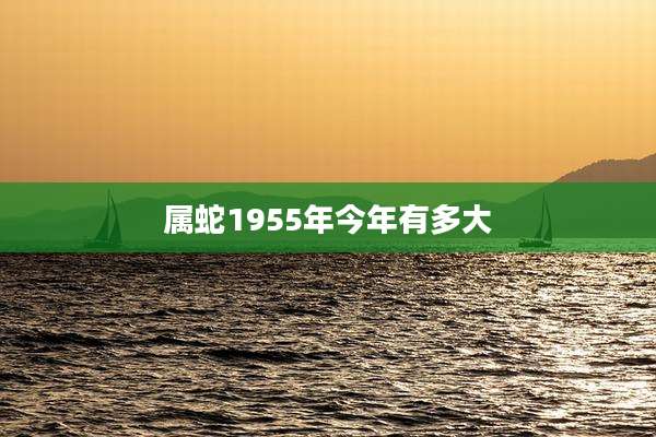 属蛇1955年今年有多大