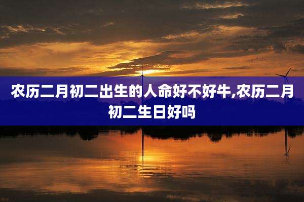 农历二月初二出生的人命好不好牛,农历二月初二生日好吗
