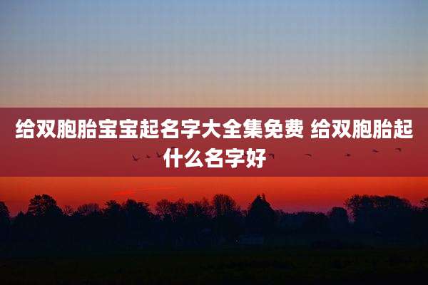 给双胞胎宝宝起名字大全集免费 给双胞胎起什么名字好