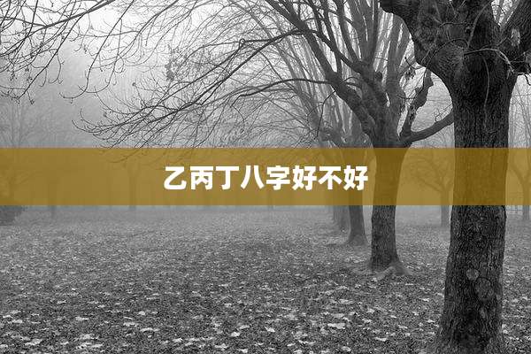 乙丙丁八字好不好