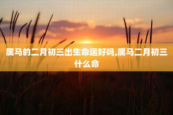 属马的二月初三出生命运好吗,属马二月初三什么命
