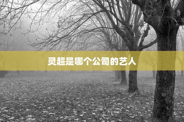 灵超是哪个公司的艺人