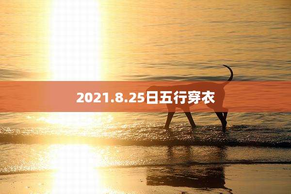 2021.8.25日五行穿衣