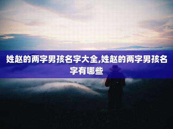 姓赵的两字男孩名字大全,姓赵的两字男孩名字有哪些