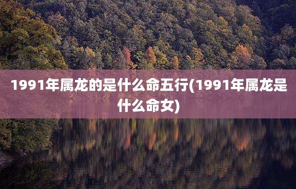 1991年属龙的是什么命五行(1991年属龙是什么命女)