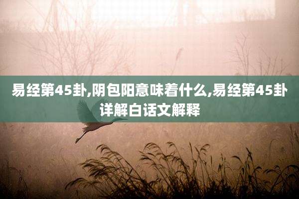 易经第45卦,阴包阳意味着什么,易经第45卦详解白话文解释