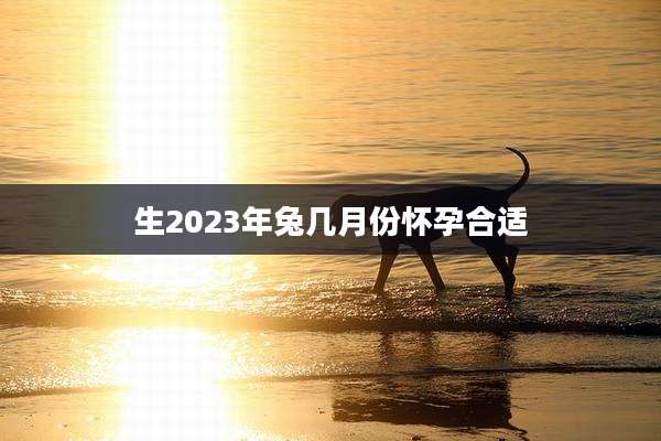 生2023年兔几月份怀孕合适