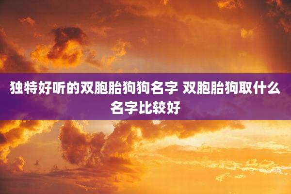 独特好听的双胞胎狗狗名字 双胞胎狗取什么名字比较好