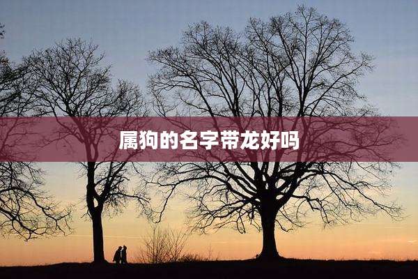 属狗的名字带龙好吗