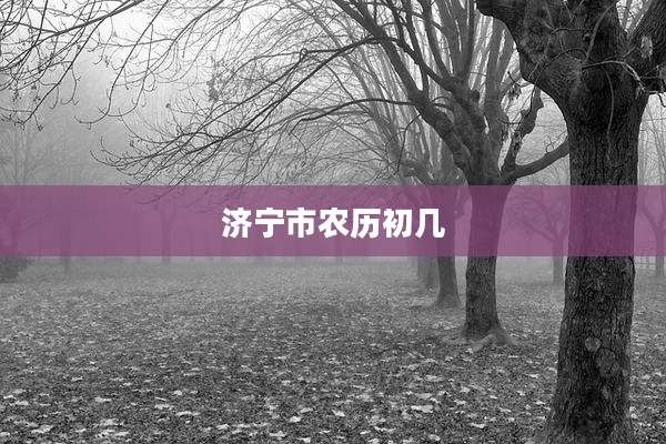 济宁市农历初几