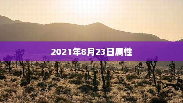 2021年8月23日属性