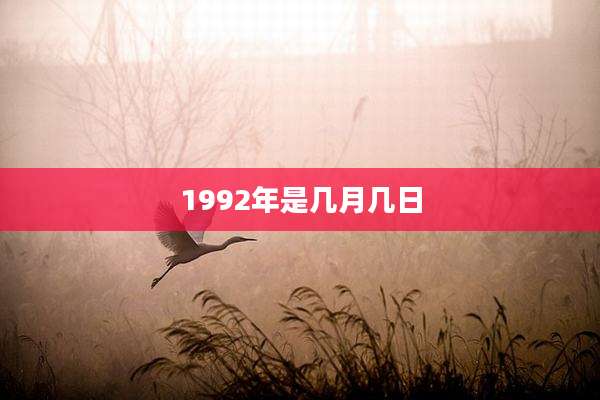 1992年是几月几日