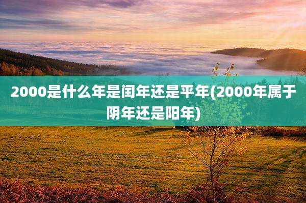 2000是什么年是闰年还是平年(2000年属于阴年还是阳年)