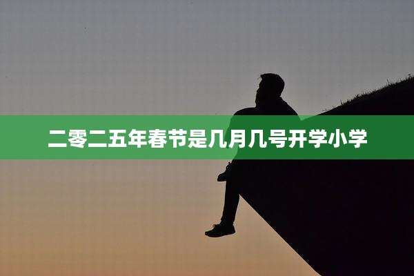 二零二五年春节是几月几号开学小学